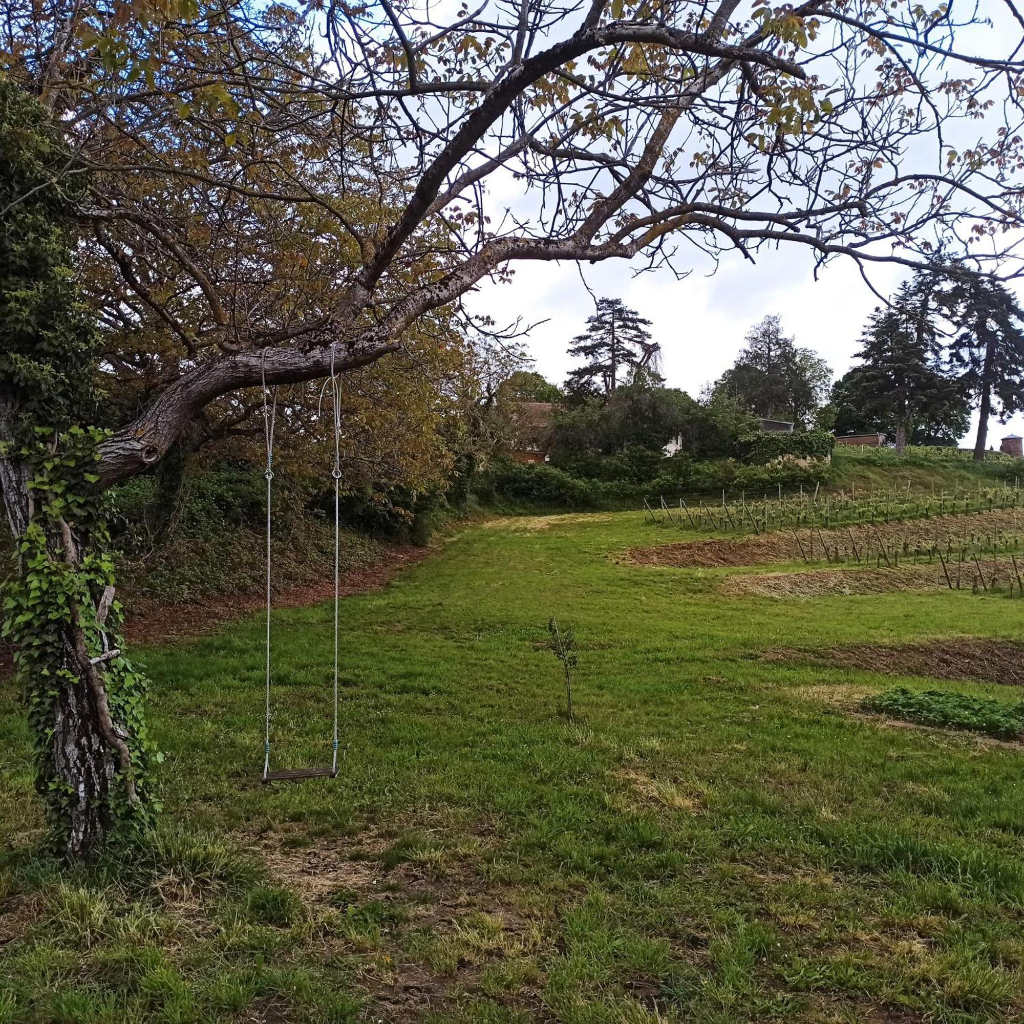 רופאק Joli Gite F2 Independant Avec Jardin Prive מראה חיצוני תמונה
